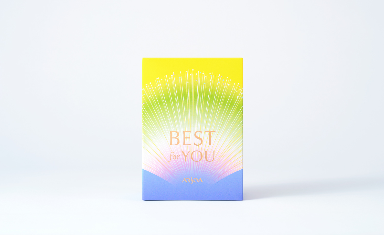 arsoa_best4_2024_02