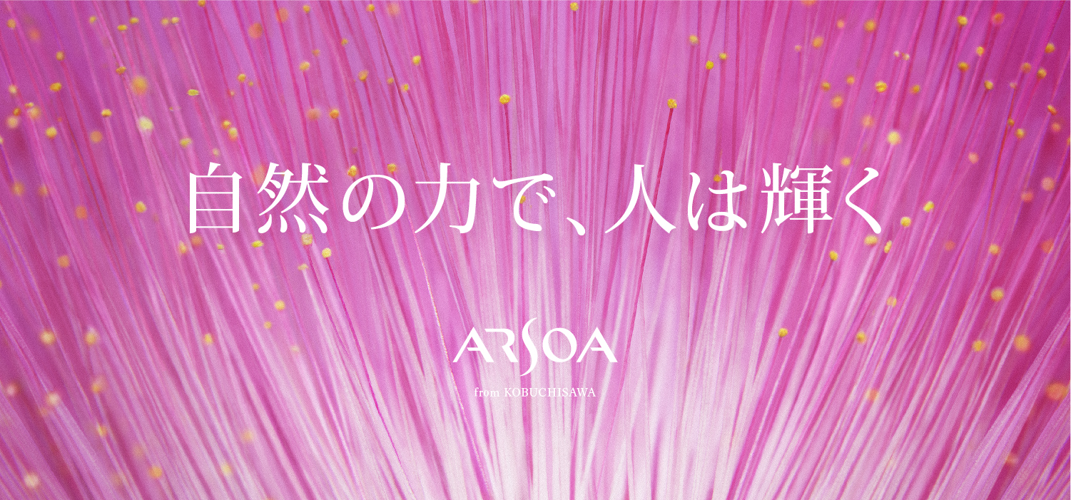 arsoa_corporation_02