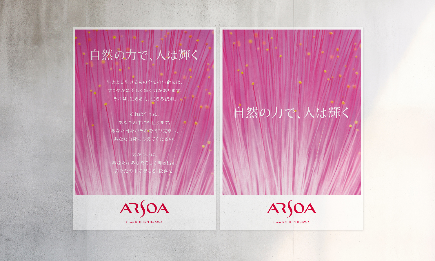arsoa_corporation_03