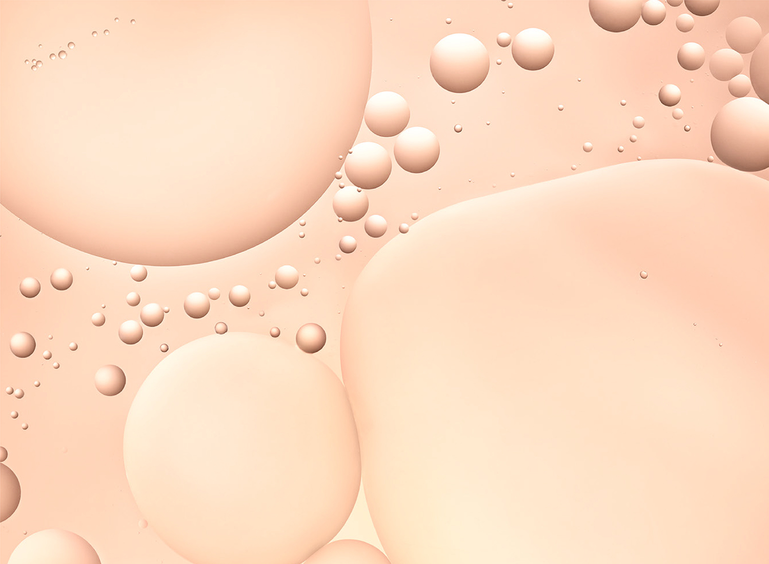 coremef_04