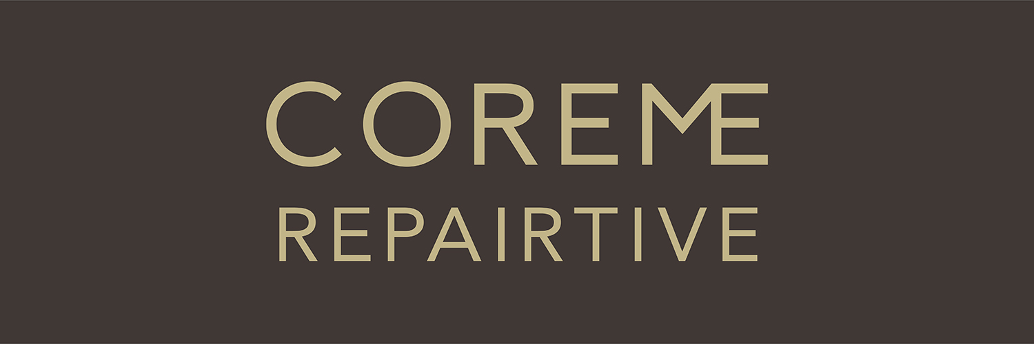 coremerp_06