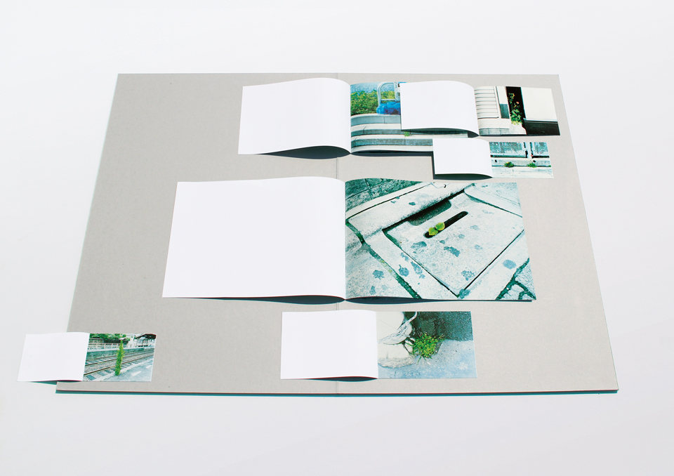 zasso_book_02
