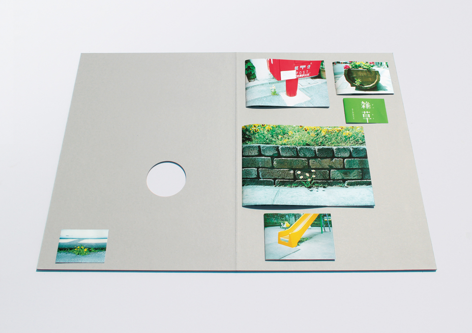 zasso_book_03