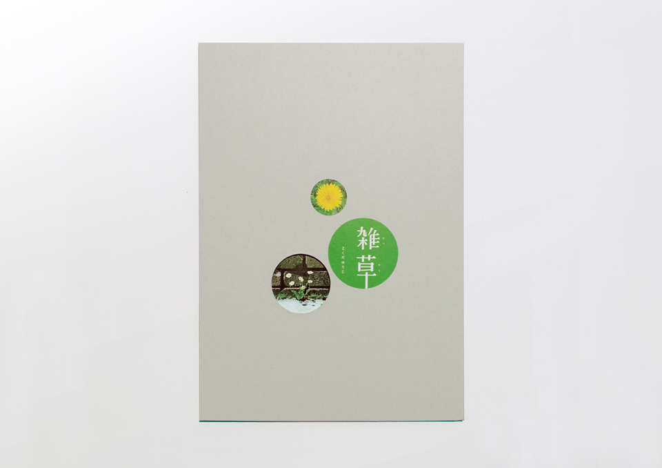 zasso_book_04