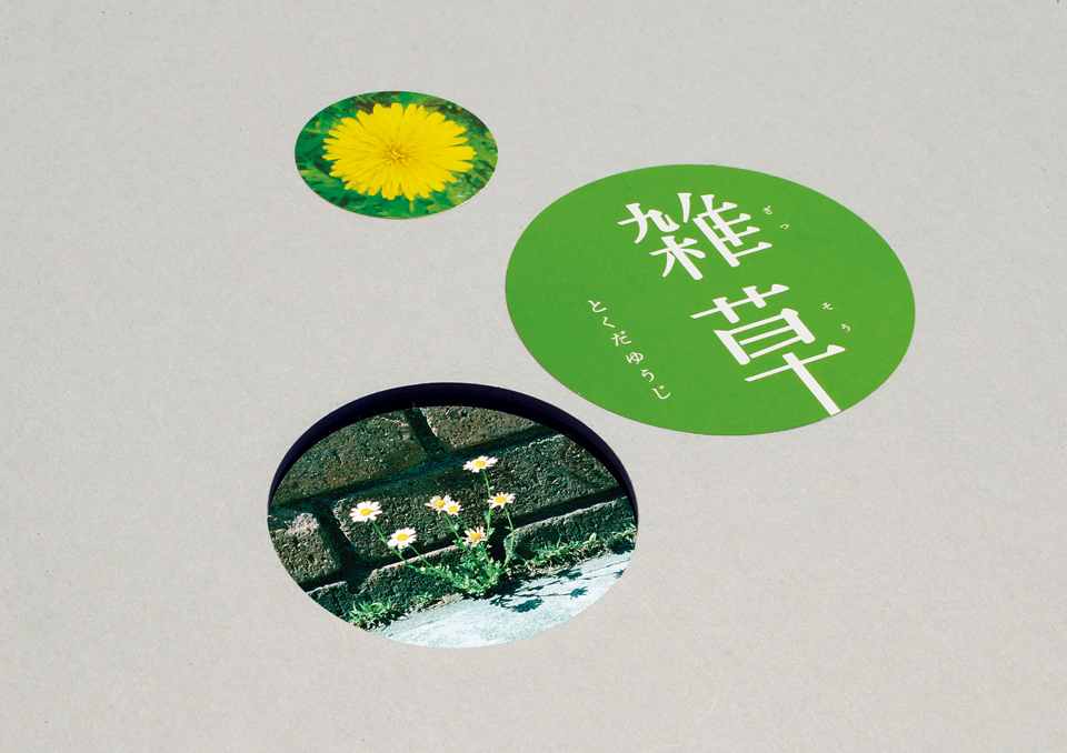 zasso_book_05