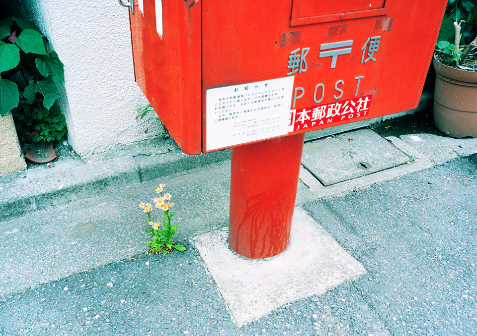 zasso_book_07