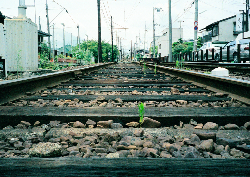 zasso_book_15